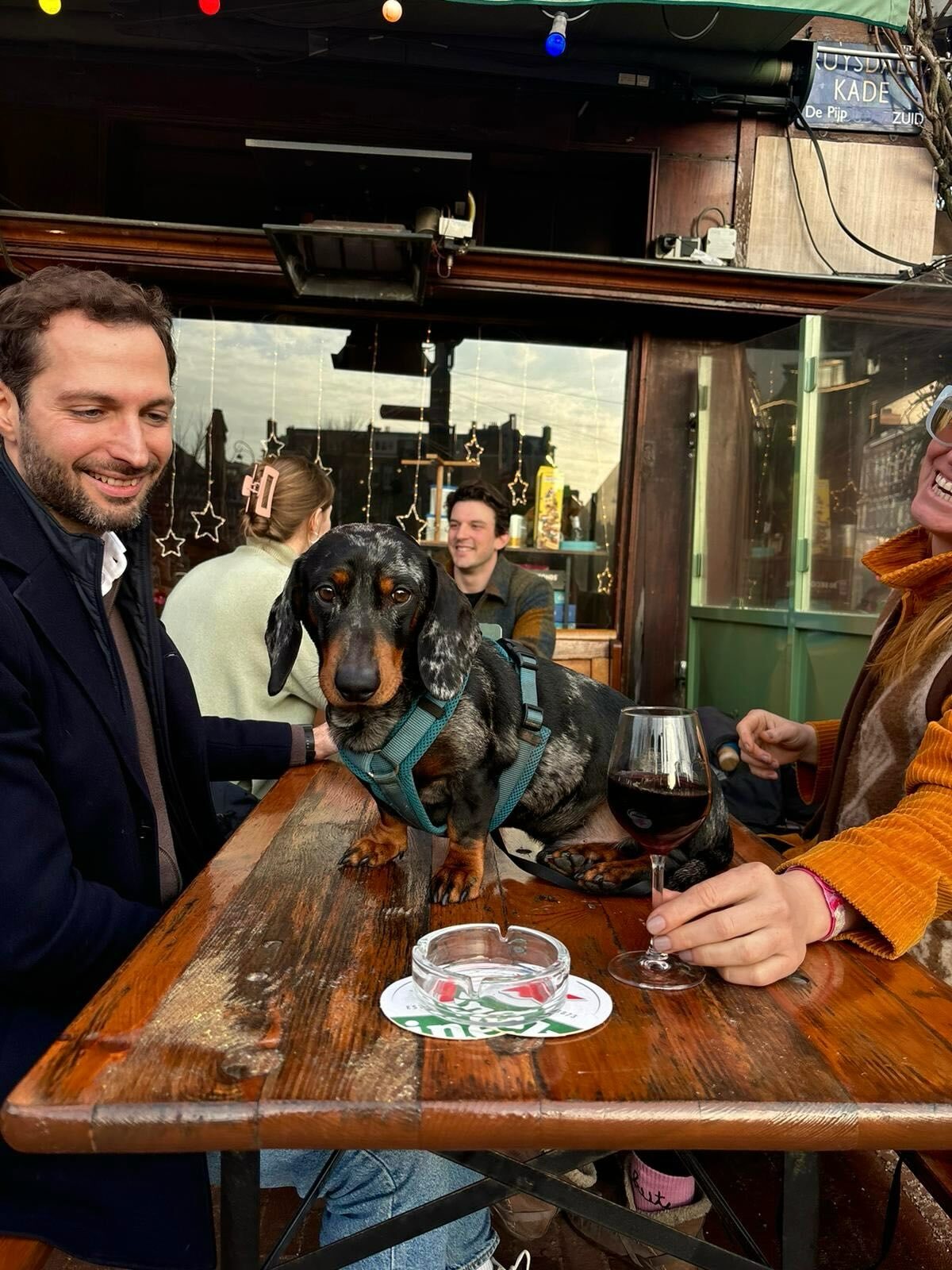Gasten aan de borrel bij het raam, met hond